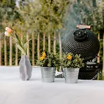 Luxury tent Glamping Boszee