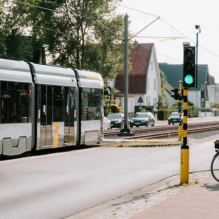 Glamping Boszee אוהל מפואר *